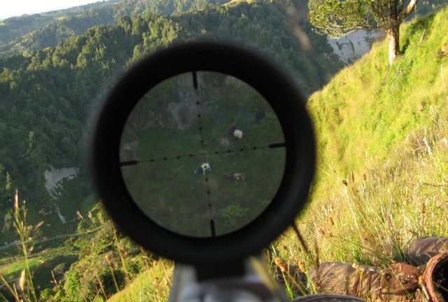 Sightron at 700 yards for web.jpg